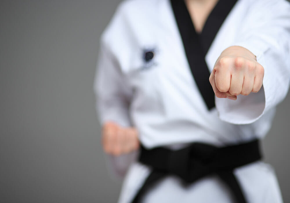 Adult Martial Arts students training at World Martial Arts Center — photo 1